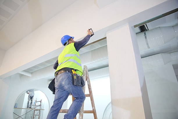 Lake Meade, PA Mold Removal Company